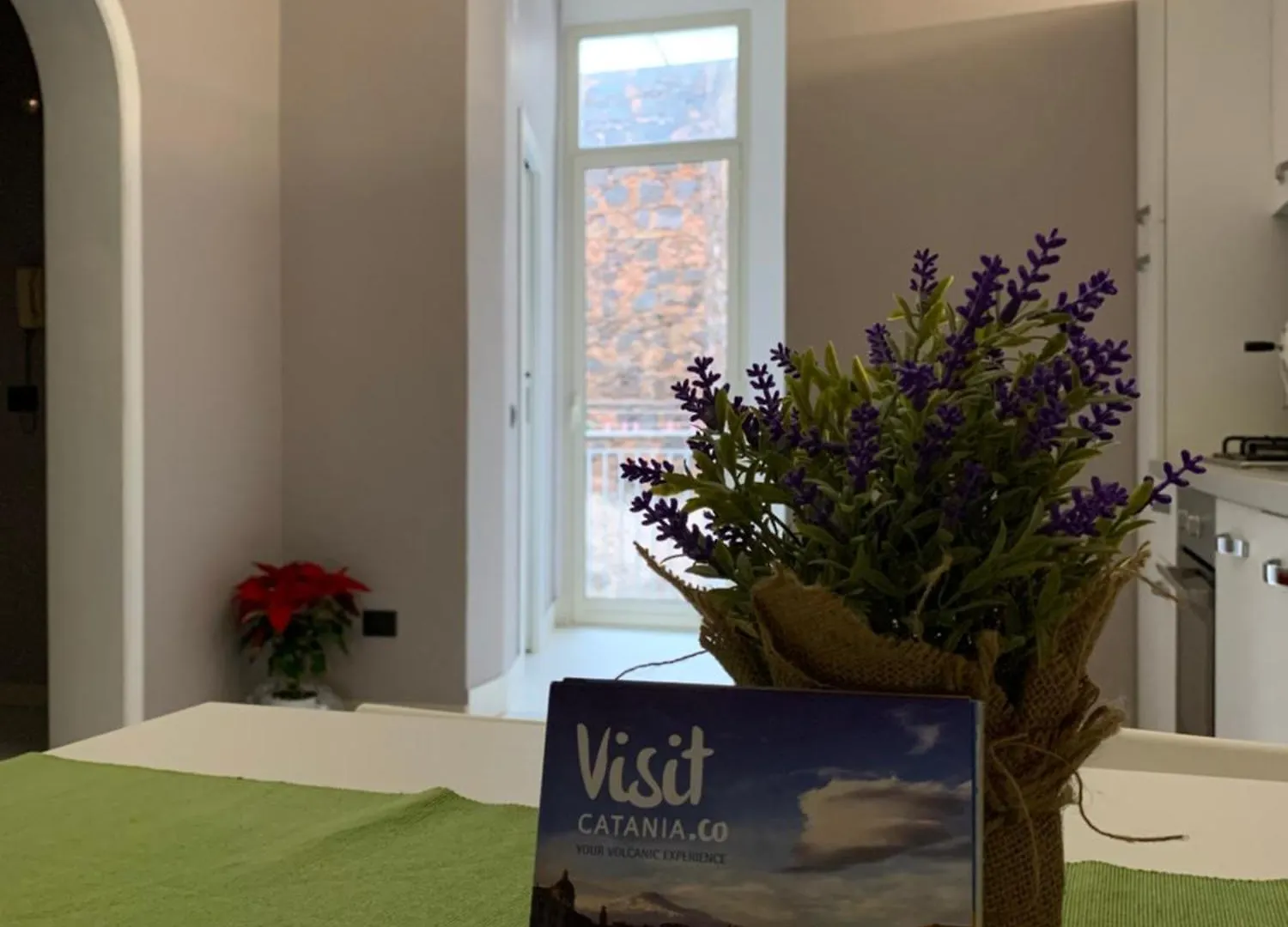 Picciridda Apartment Catania